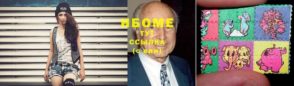 гашик Зеленокумск