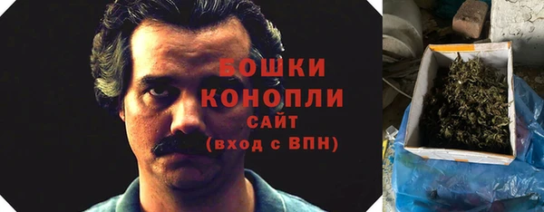 PSILOCYBIN Алексеевка
