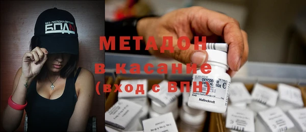шишки Алексин