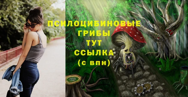 PSILOCYBIN Алексеевка