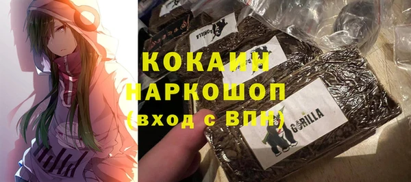 шишки Алексин