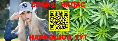 ешки Обнинск