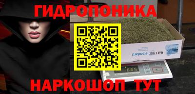 ешки Обнинск