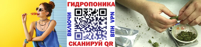 купить   Биробиджан  Каннабис SATIVA & INDICA 